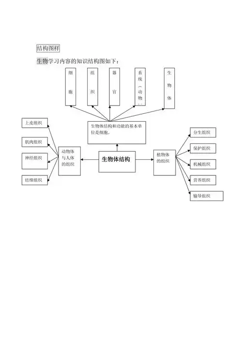 生物体结构图