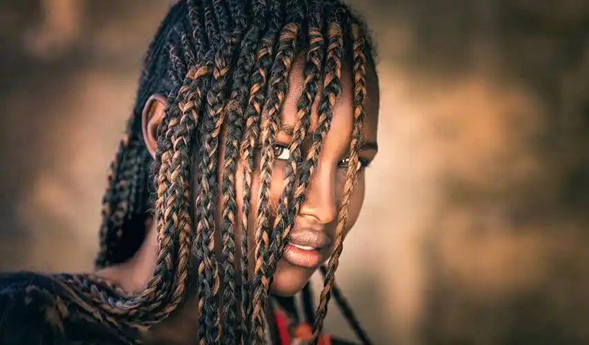 joachim bergauer,黑人,头发,凝视,辫子,女孩,照片