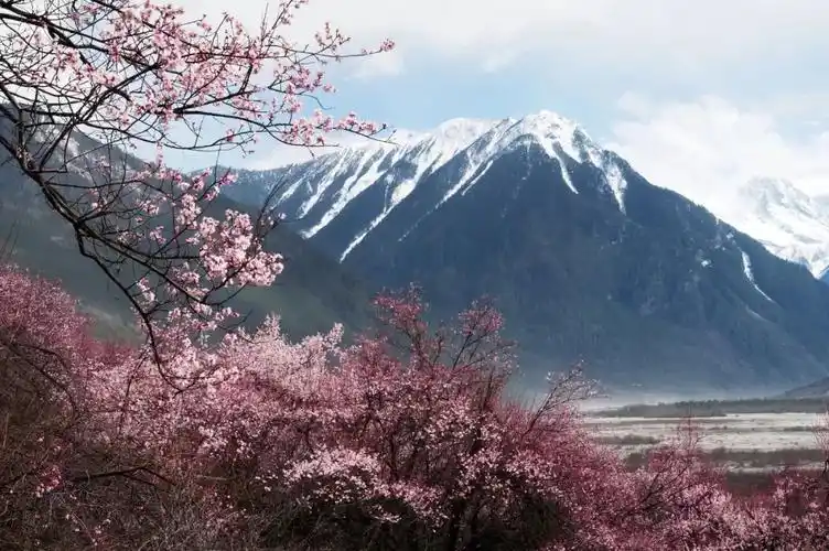 2019年放假时间表新鲜出炉轻松解锁12个月最佳旅行地