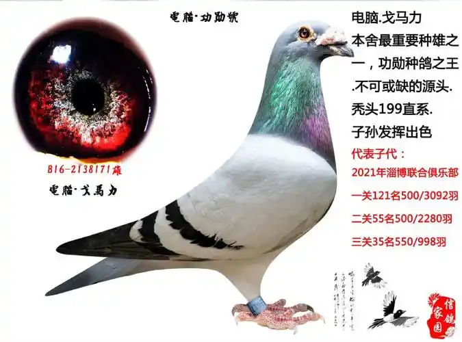 电脑戈马力,功勋号