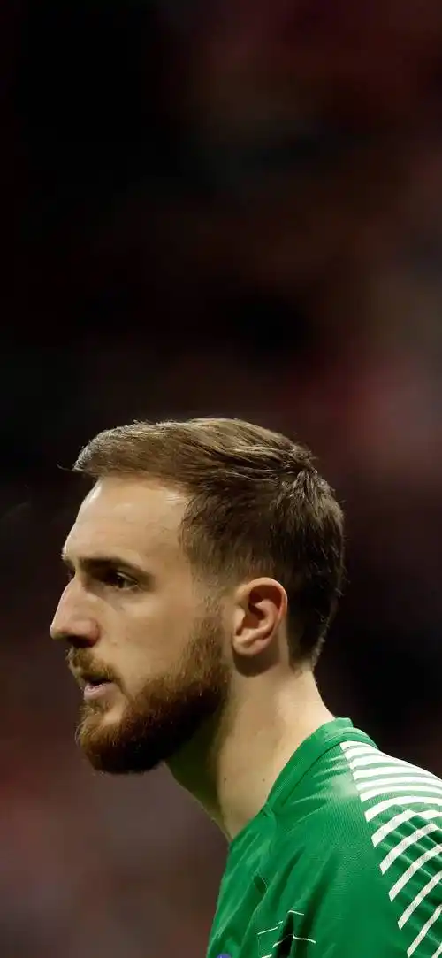 侠世壁纸西甲马德里竞技扬奥布拉克手机壁纸第一期