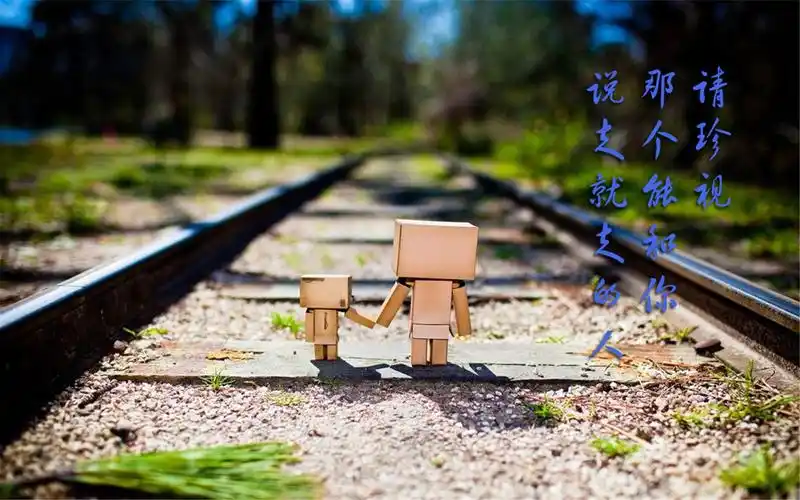 治愈系萌物纸箱阿楞唯美意境文字语录桌面壁纸下载