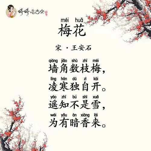 试听180秒听诗教 44【梅花】学习像梅花一样顽强绽放