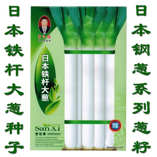 章丘大葱种子耐热耐寒防倒伏实心钢葱籽 日本铁杆大葱种子10克原装袋