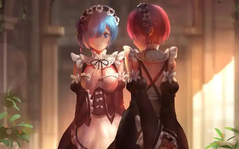 1080x1920从零开始的异世界生活蕾姆拉姆动态壁纸60帧