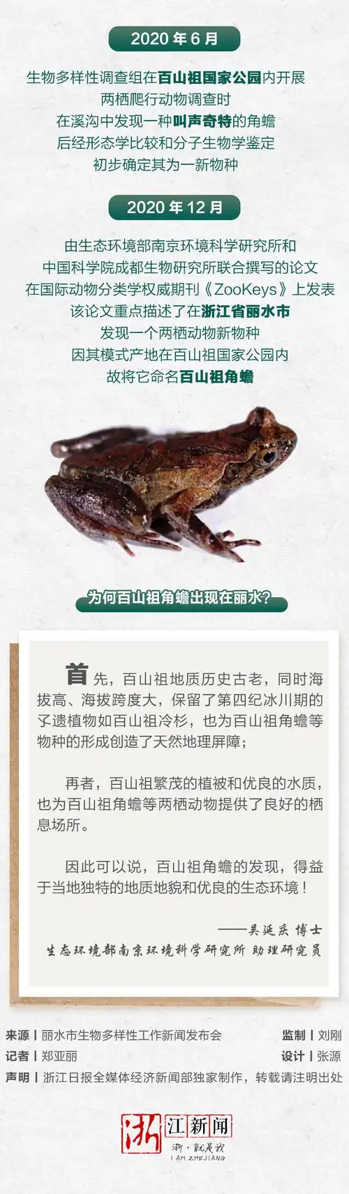 角蟾(百山祖角蟾)