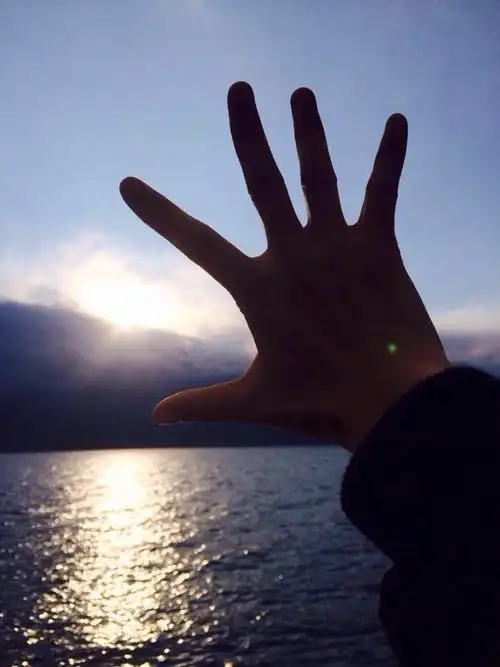手挡太阳图片,一只手伸向太阳的图片_大山谷图库
