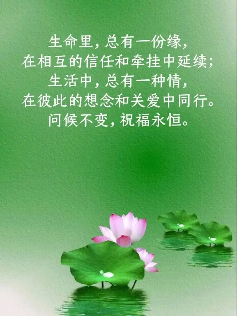 总有一份缘, 在相互的信任和牵挂中延续; 生活中,总有一种情, 在彼此