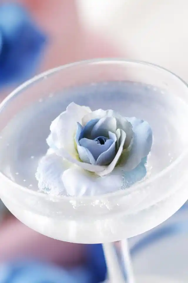 清新美丽花朵唯美意境简约风格手机壁纸下载第二辑