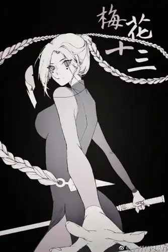 梅花十三