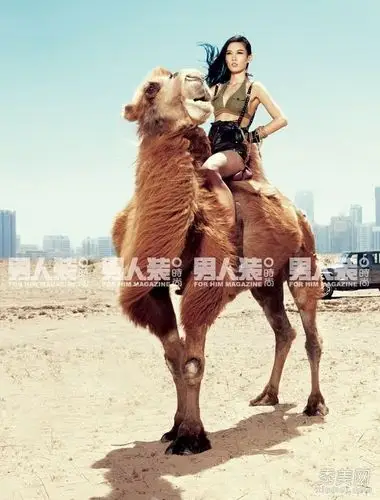 张蓝心《男人装》性感特工演绎猎梦骑士(3)【图】_明星写真_图库_秀美