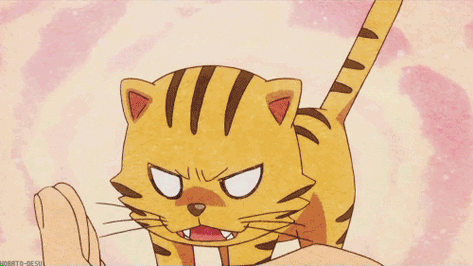 漫有gif丨迷你傲娇小老虎