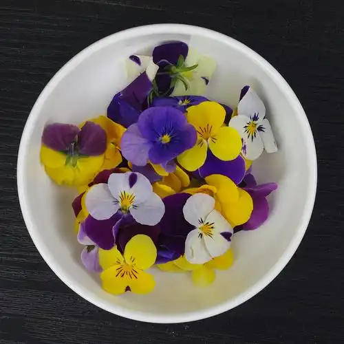 三色星7g 新鲜花 西餐摆盘 燕尾花 沃鲜汇生鲜超市