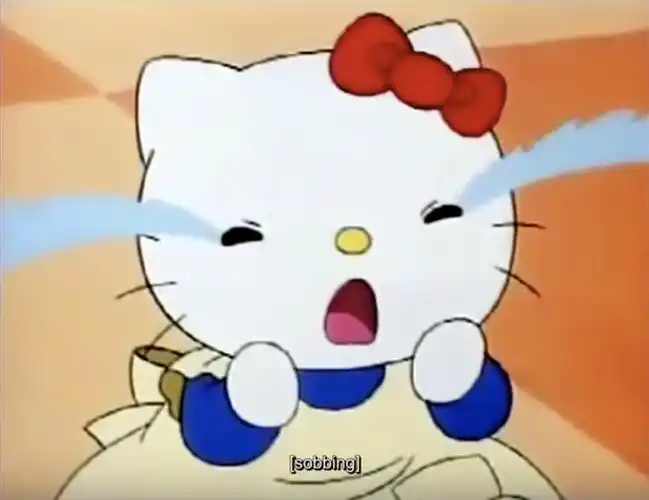 意料之中,不少hellokitty的忠实粉丝向公司反馈,他们