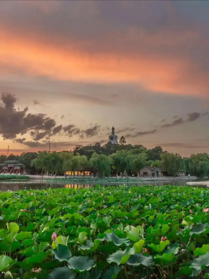 来北京旅游,一定要在下午时分以后去逛逛北海公园.别看它叫公园