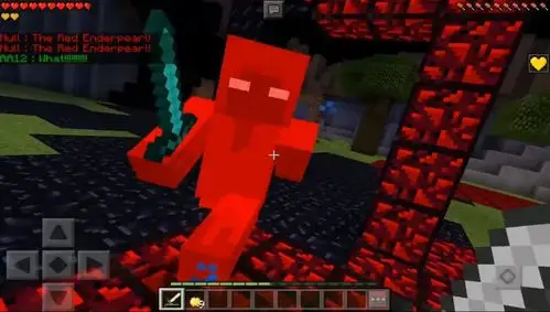 我的世界实体303和代码404谁更强玩家亡灵法师不咋滴