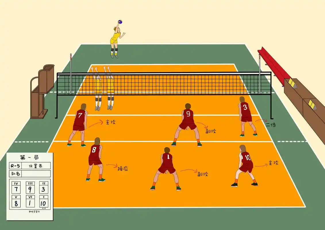 排球接发球后队员职责及站位 队员站位根据战术调配,案例站位为其中一