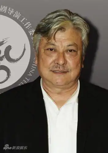 资料图片:电视剧导演委员会-陈家林会长