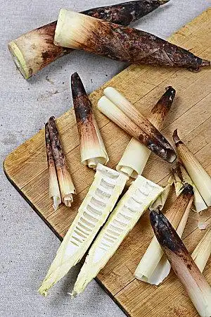 笋壳图片_全景网