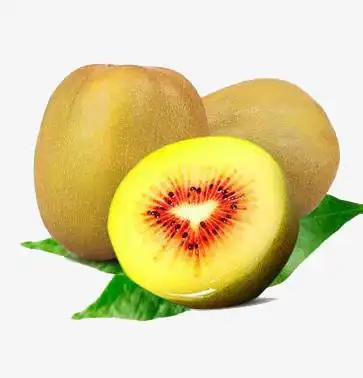 两个半水果红心猕猴桃png图片素材下载_水果png_熊猫办公