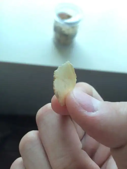 请问这个西洋参片有没有变质,味道是树根味