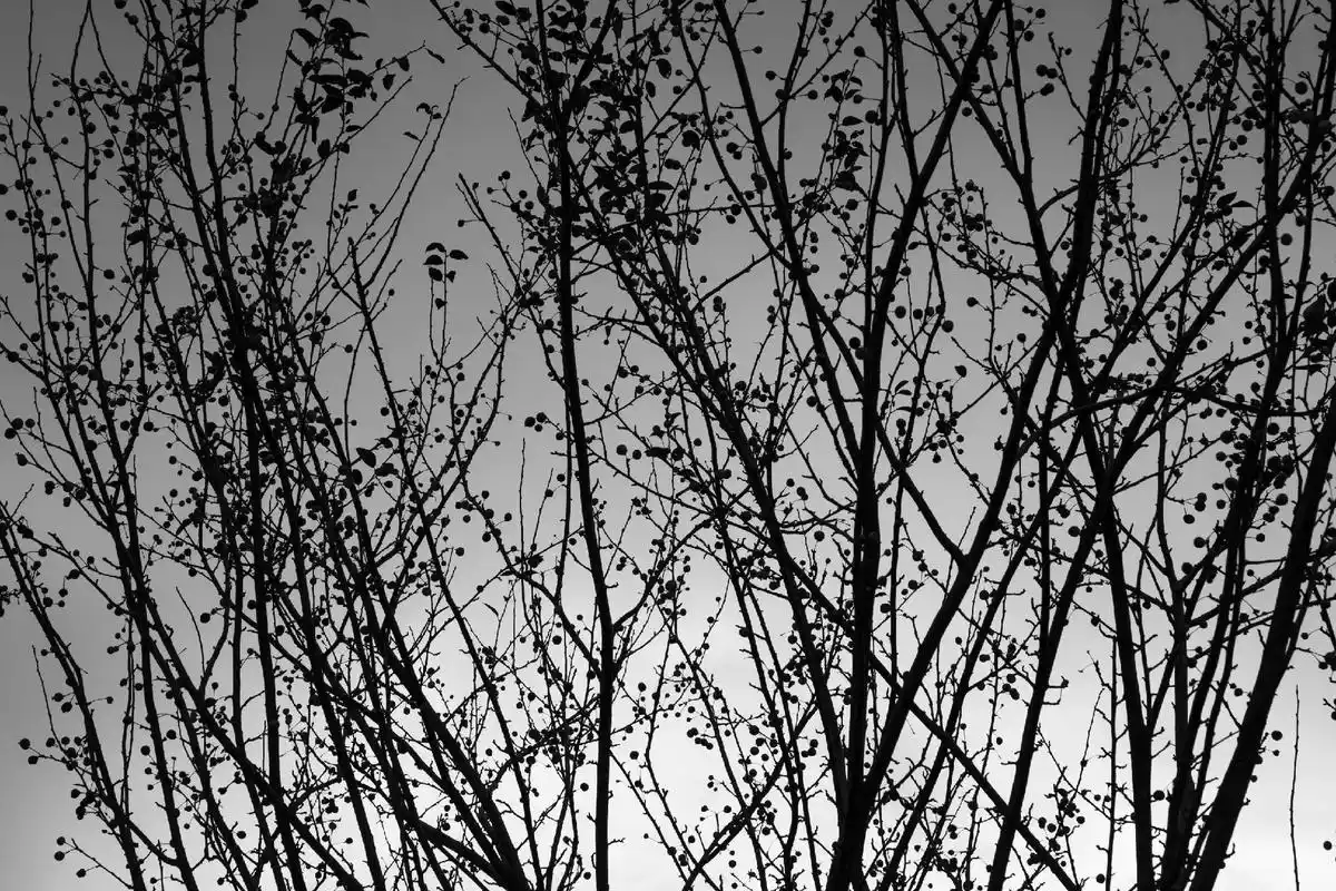 摄影 #黑白 #街拍  - 抖音