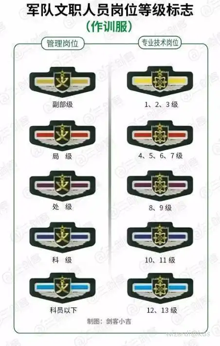 军大 技术三级以上的技术骨干 应该是上 两位数了,七级以上(低配军衔