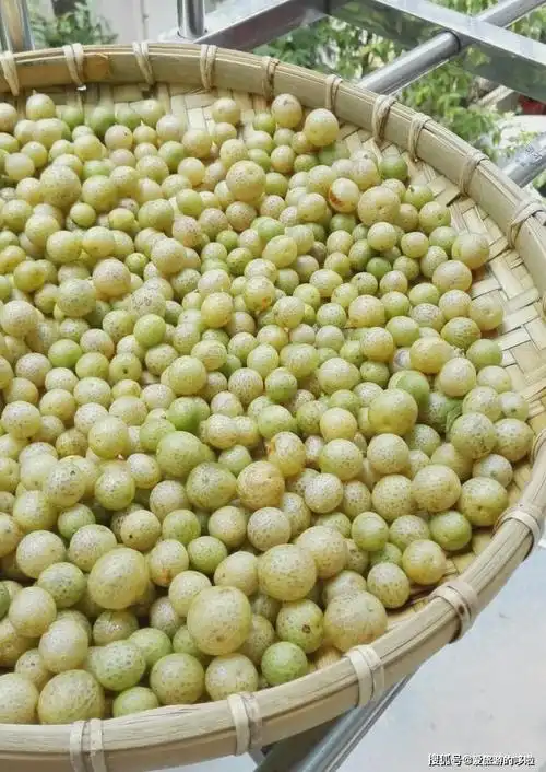 不要质疑一个吃饺子不蘸醋的南宁人