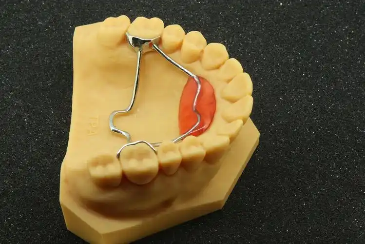 3d打印tpa 兰丝-矫正器-云南家红齿科技术股份有限公司