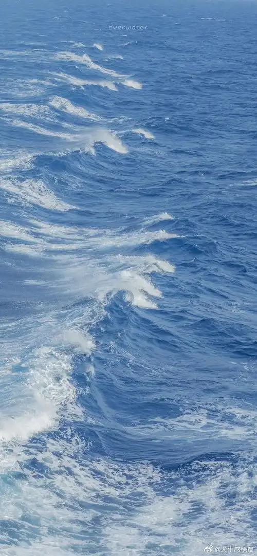 清爽干净的手机壁纸