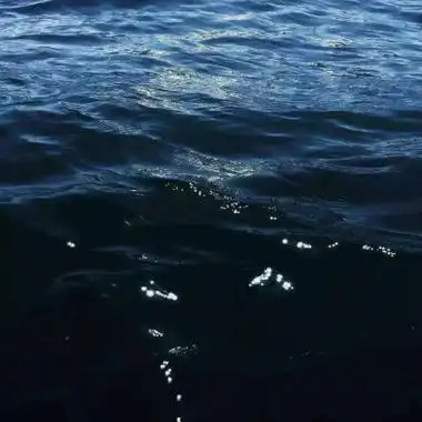 简约头像意境高清安静的简单意境清新头像图片