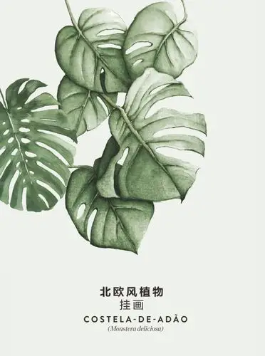 北欧清新绿植物ins风装饰画龟背竹树叶沙发背景墙客厅餐厅挂壁画