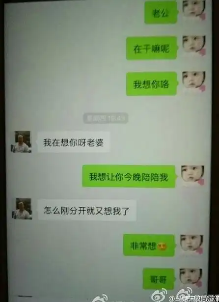 王宝强律师曝马蓉宋喆出轨卷款证据 被拍下聊天记录首次曝光