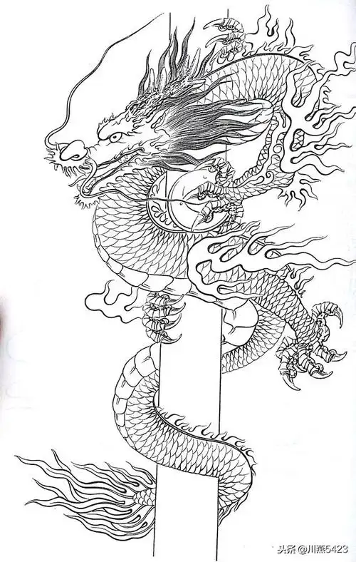 中国龙 白描画稿