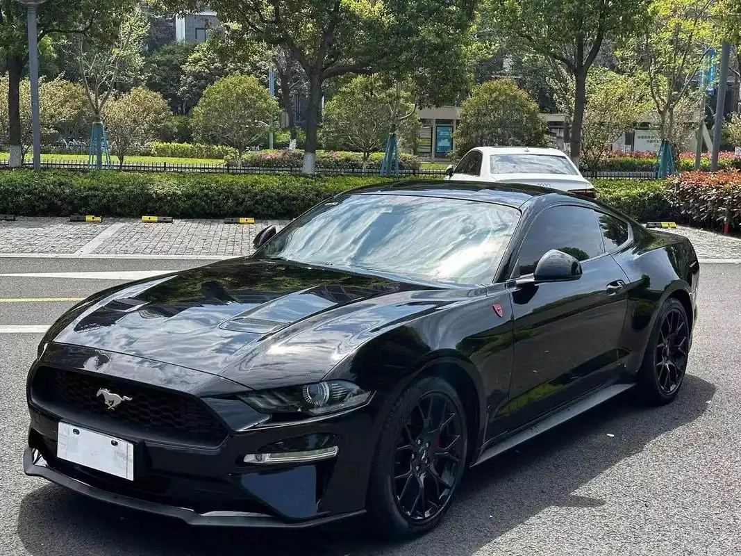 10万 表显里程 - 车身颜色 车况说明: 个人一手 一手车 19款中归野马