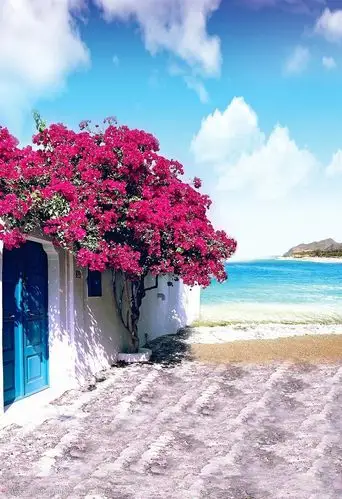 宗教 教堂 历史 旅游 文化 欧式主题婚礼 教堂摄影 教堂素材 背景