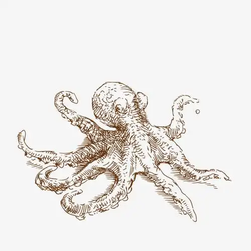 手绘章鱼