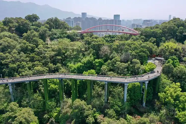 4月3日,市民在福州金鸡山公园"福道"上游览(无人机照片).