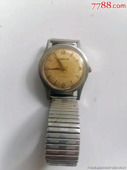 瑞士比恩纳手表