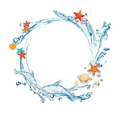 海豚素材-海豚图片-海豚素材图片下载-觅知网