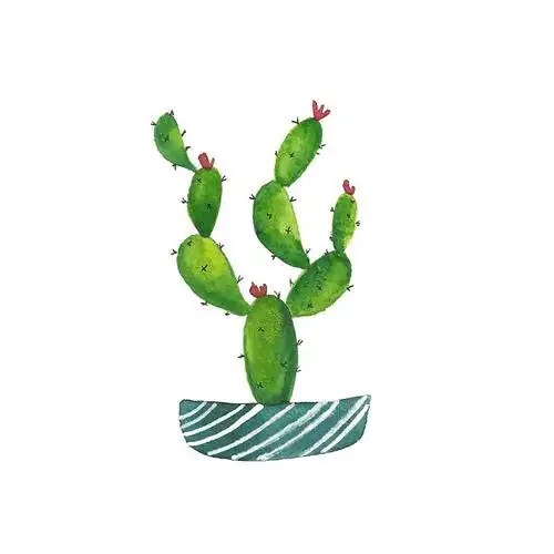 植物手帐素材 ins:mitherzundpinsel