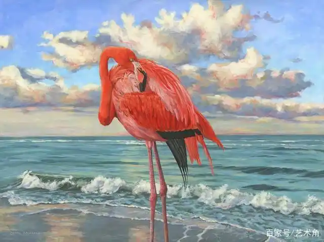 艺术家carol mcardle的飞禽油画作品,栩栩如生