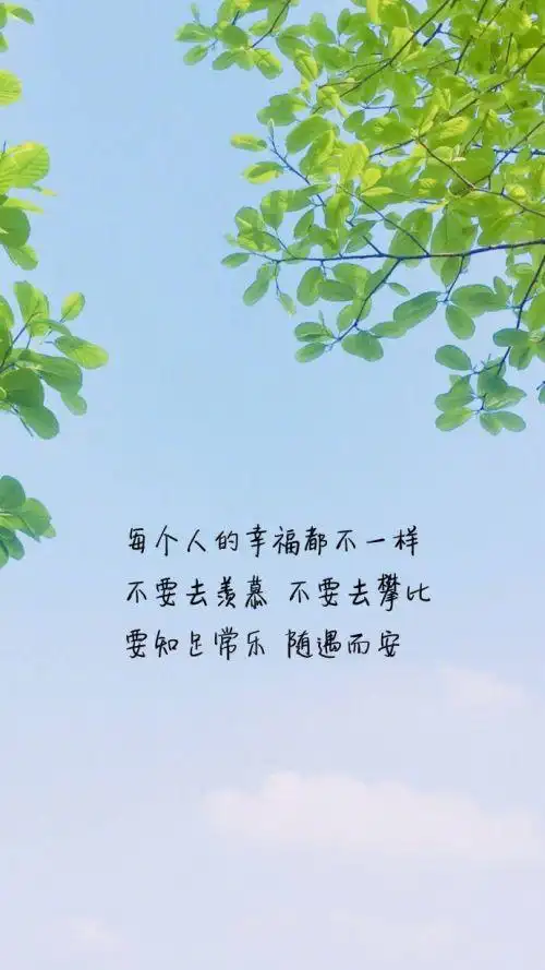 唯美意境伤感带字个性皮肤