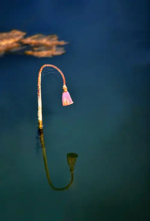 华人摄影创作艺术交流俱乐部作品展第四十九期(二)