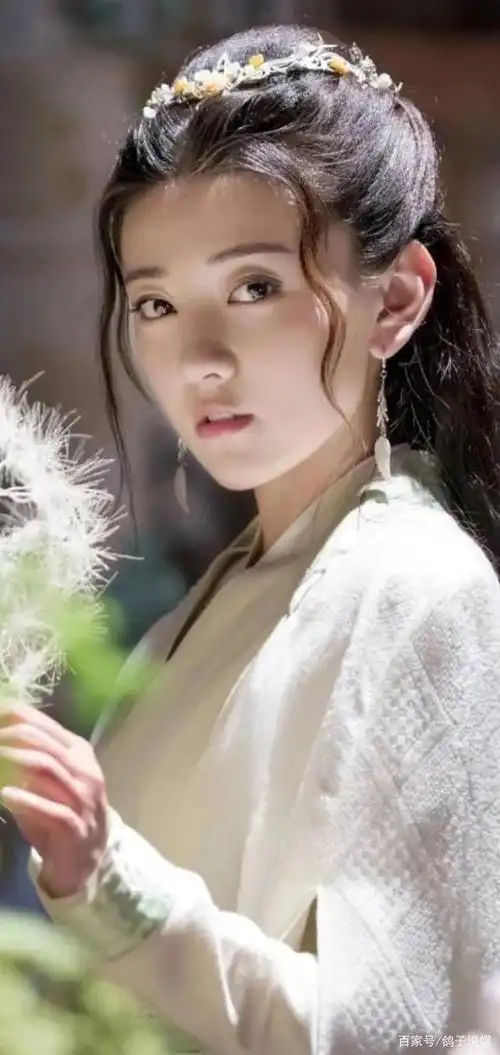 陈哲远(江小鱼),梁洁(苏樱),梁婧娴(铁心兰)领衔主演的电视剧,虽说是