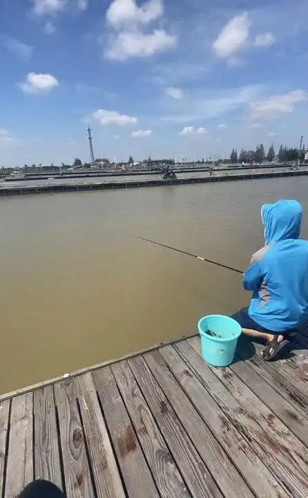 上海阿斌鱼塘和华宇鱼塘钓鱼合集