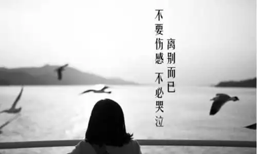 表达心情忧伤的人生感悟语录说说短句每一句都无比悲伤