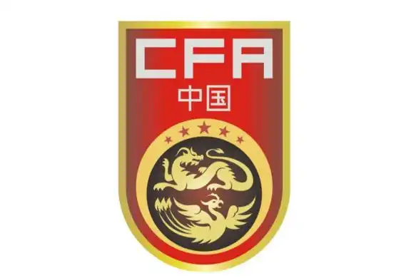 国足队服出现1新变化!五星红旗印在队徽上面,这是一个正能量|队徽|队