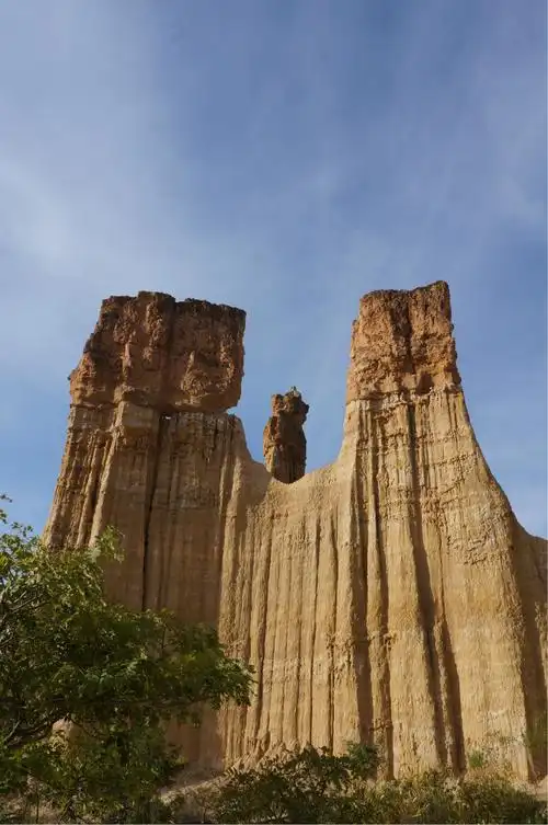 【元谋】我来自远古图片959,云南省旅游景点,风景名胜 - 蚂蜂窝图库