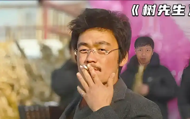 【树先生】王宝强演技巅峰,比阿q还阿q的树先生